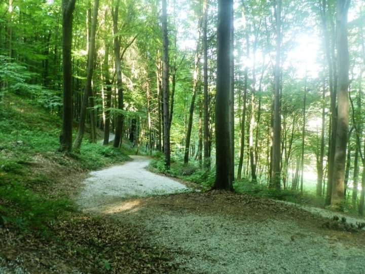 Apartmani Ramonda Teslić Exteriör bild