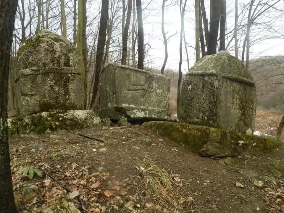 Apartmani Ramonda Teslić Exteriör bild